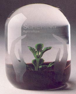 ©1987 Caithness Glass