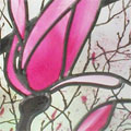 Stained Glass