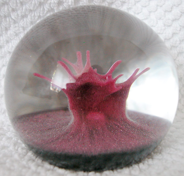 the paperweight 1984