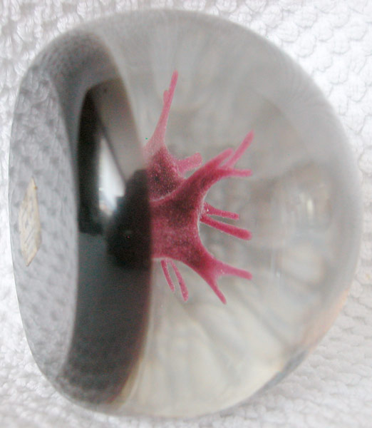 coral paperweight 1984