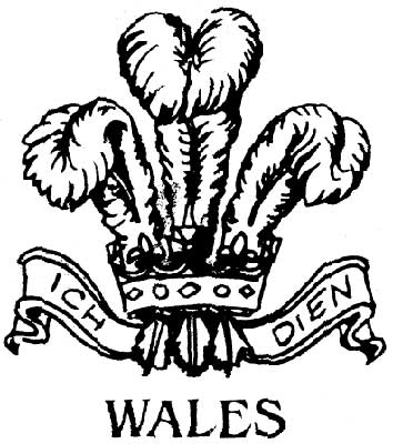 Welsh Feathers