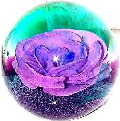Caithness Glass GLASGLOW ROSE Paperweight 5780292 