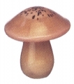 Fantasy Mushrooms - Small