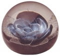 Blue Rose Paperweight