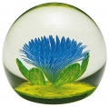 Anemone (Style 1)